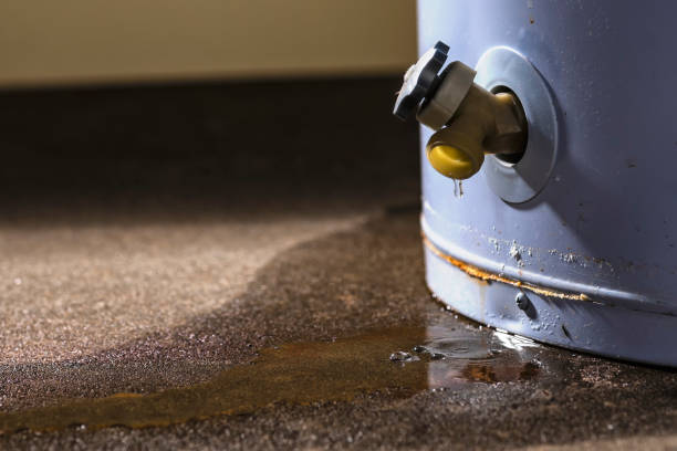 Best Commercial water damage restoration  in Finley, WA