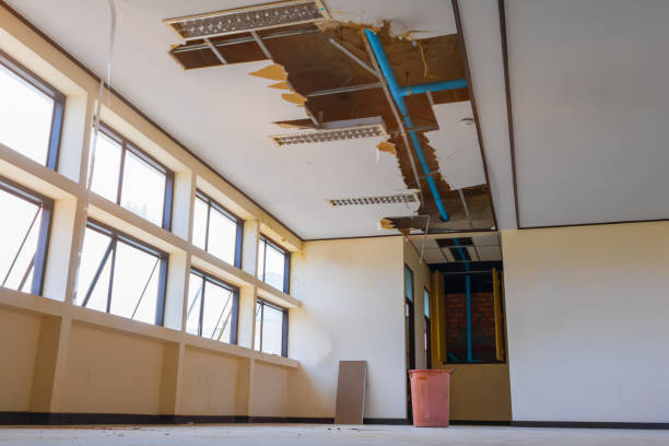 Best Ceiling water damage repair  in Finley, WA