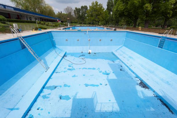 Best Mold removal after water damage  in Finley, WA