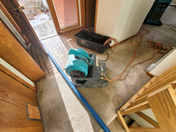 Best Basement water damage restoration  in Finley, WA