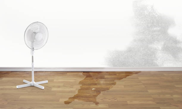 Best 24-hour water damage restoration  in Finley, WA